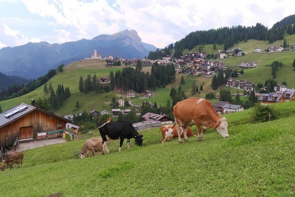 App. Monte Pore - Agriturismo La Majon Colle Santa Lucia Bagian luar foto